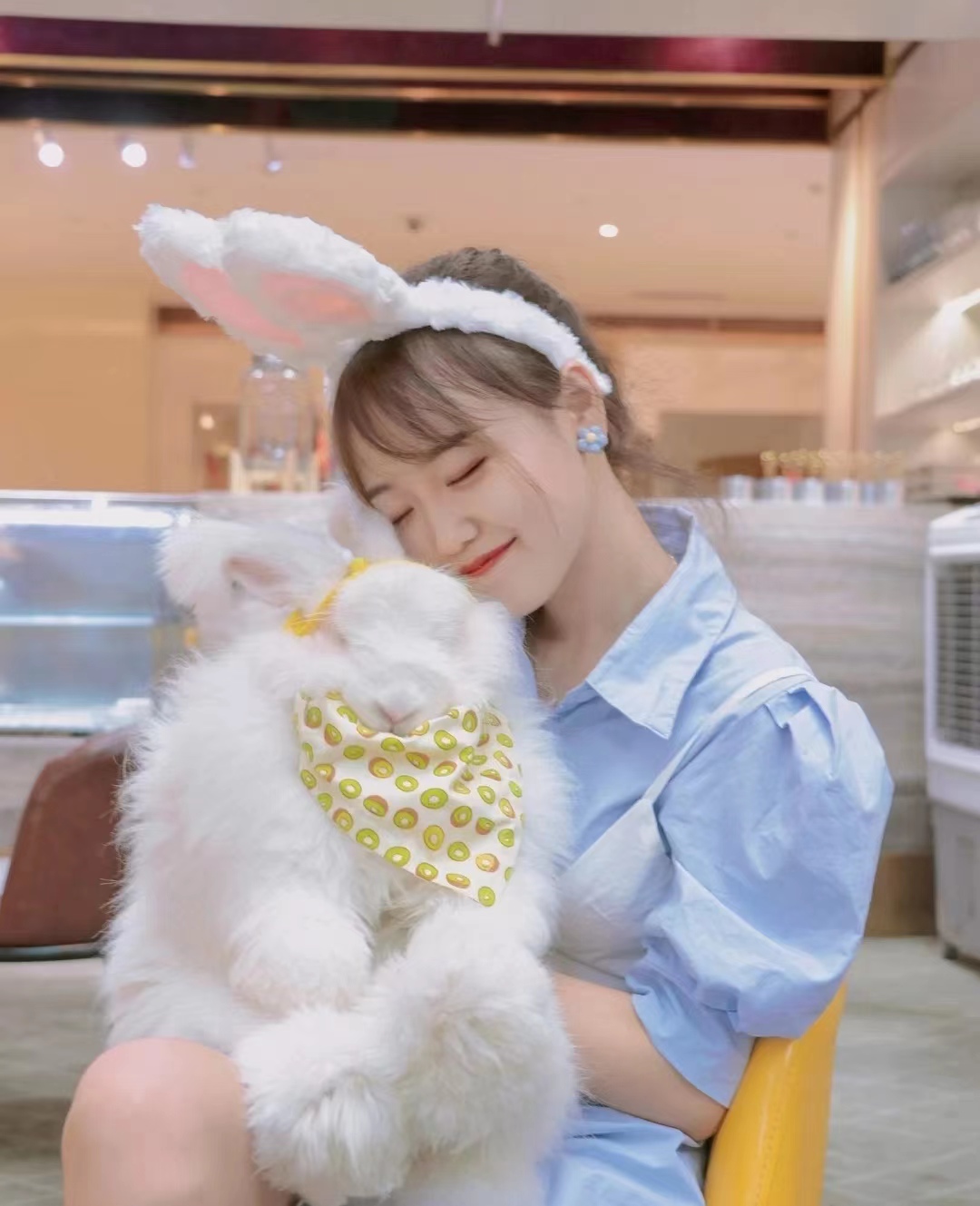 長(zhǎng)毛兔到底怎么養(yǎng)才合理？