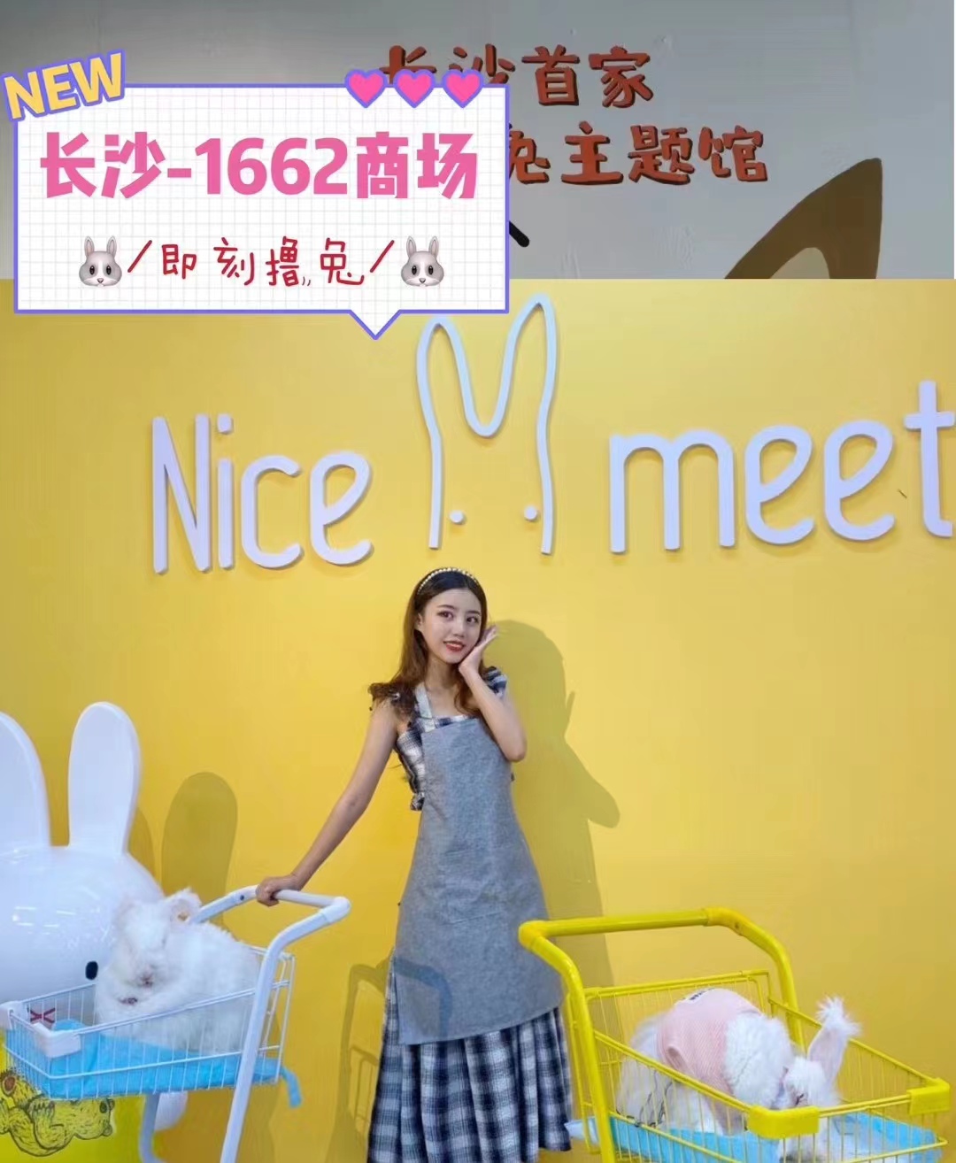 如何避免長(zhǎng)毛兔品種退化？