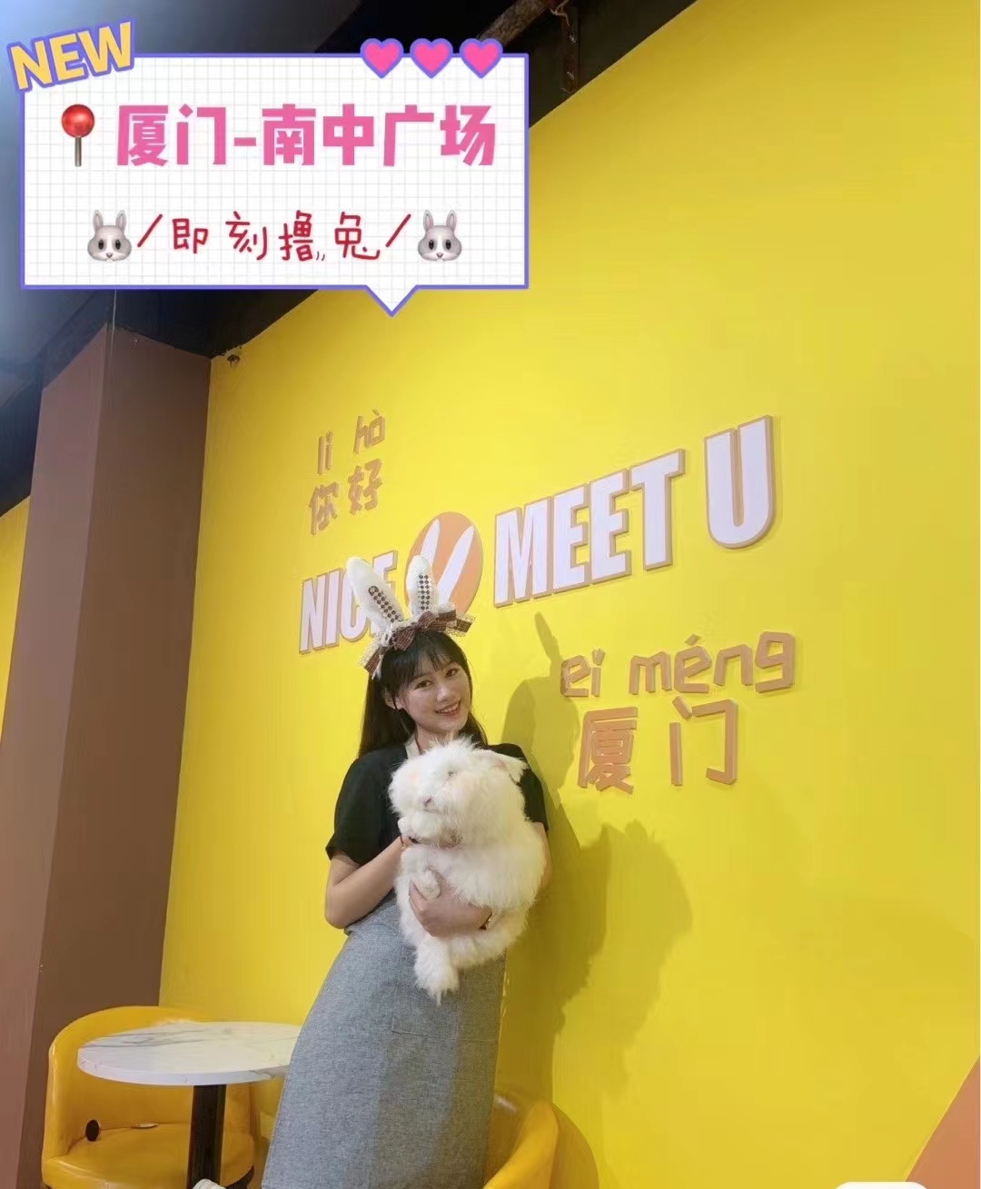 廈門-南中廣場(chǎng)安哥拉兔體驗(yàn)館
