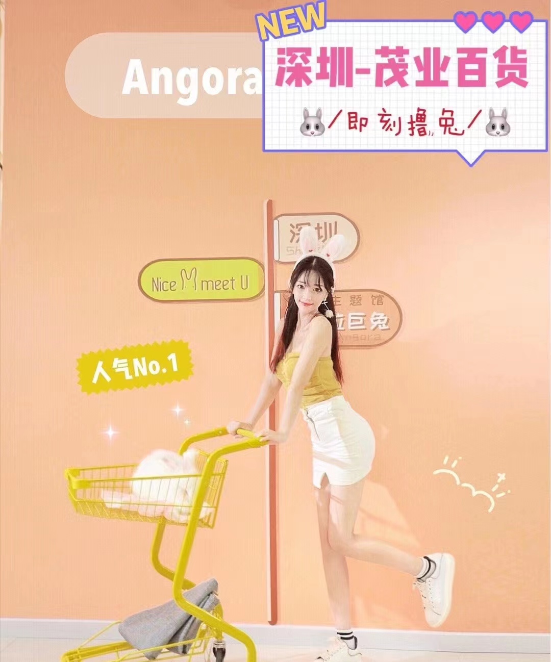 深圳-茂業(yè)百貨安哥拉兔體驗(yàn)館