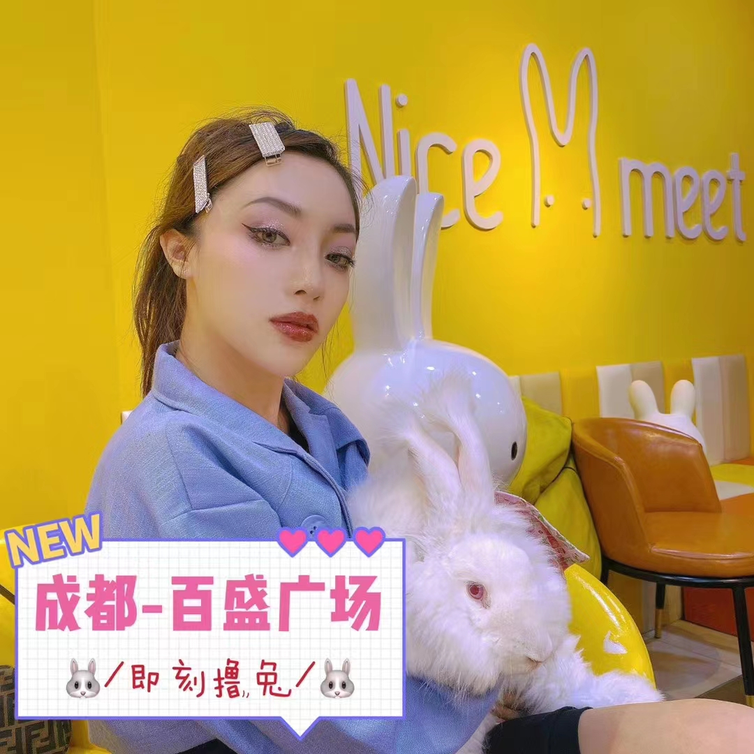 成都-百盛廣場(chǎng)安哥拉兔體驗(yàn)館