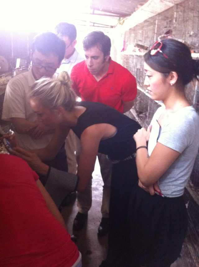 西班牙朋友和臺(tái)灣朋友來